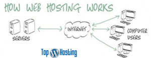 How web hosting works